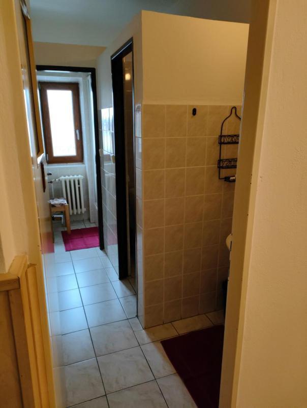 Penzion Sumava - Apartman Horní Planá Bagian luar foto